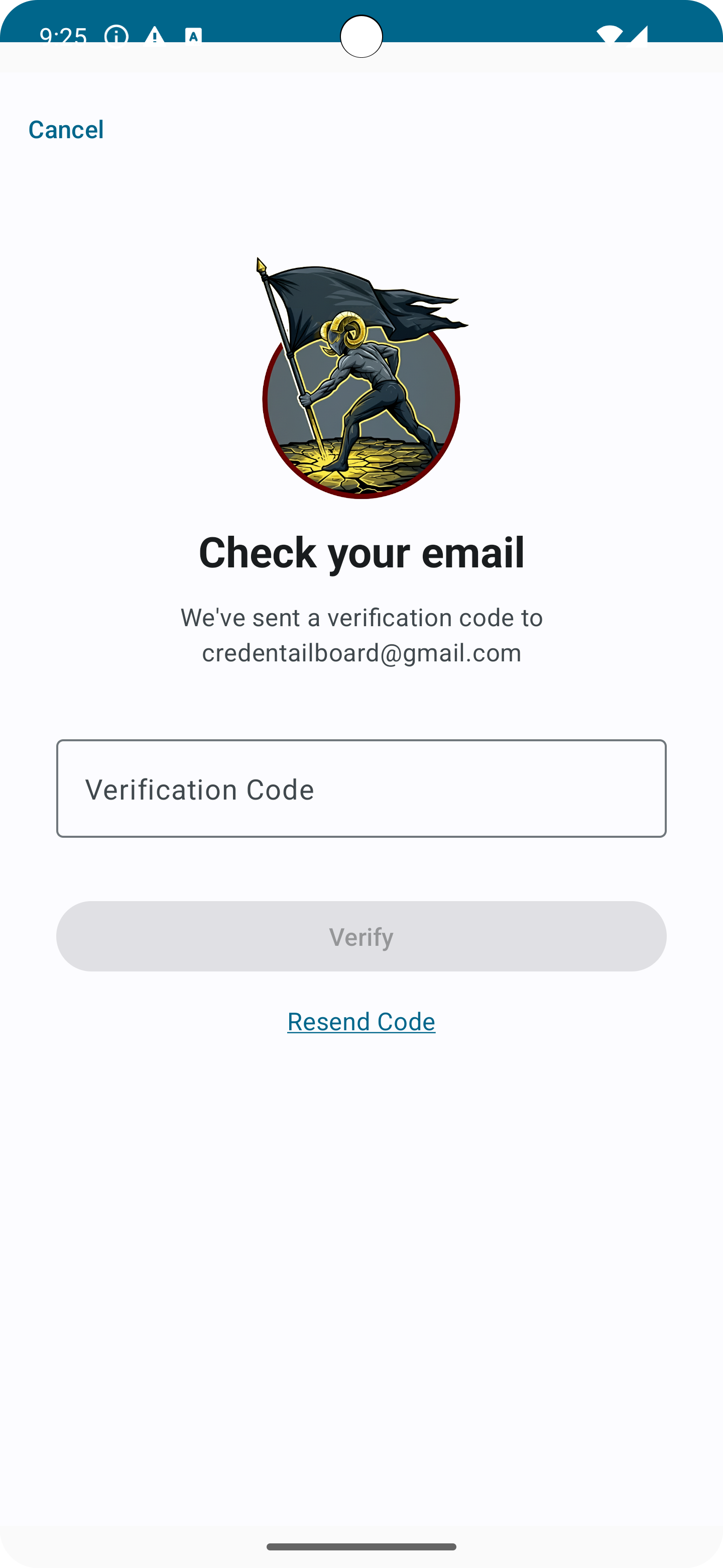 Account verification screen in Android light mode