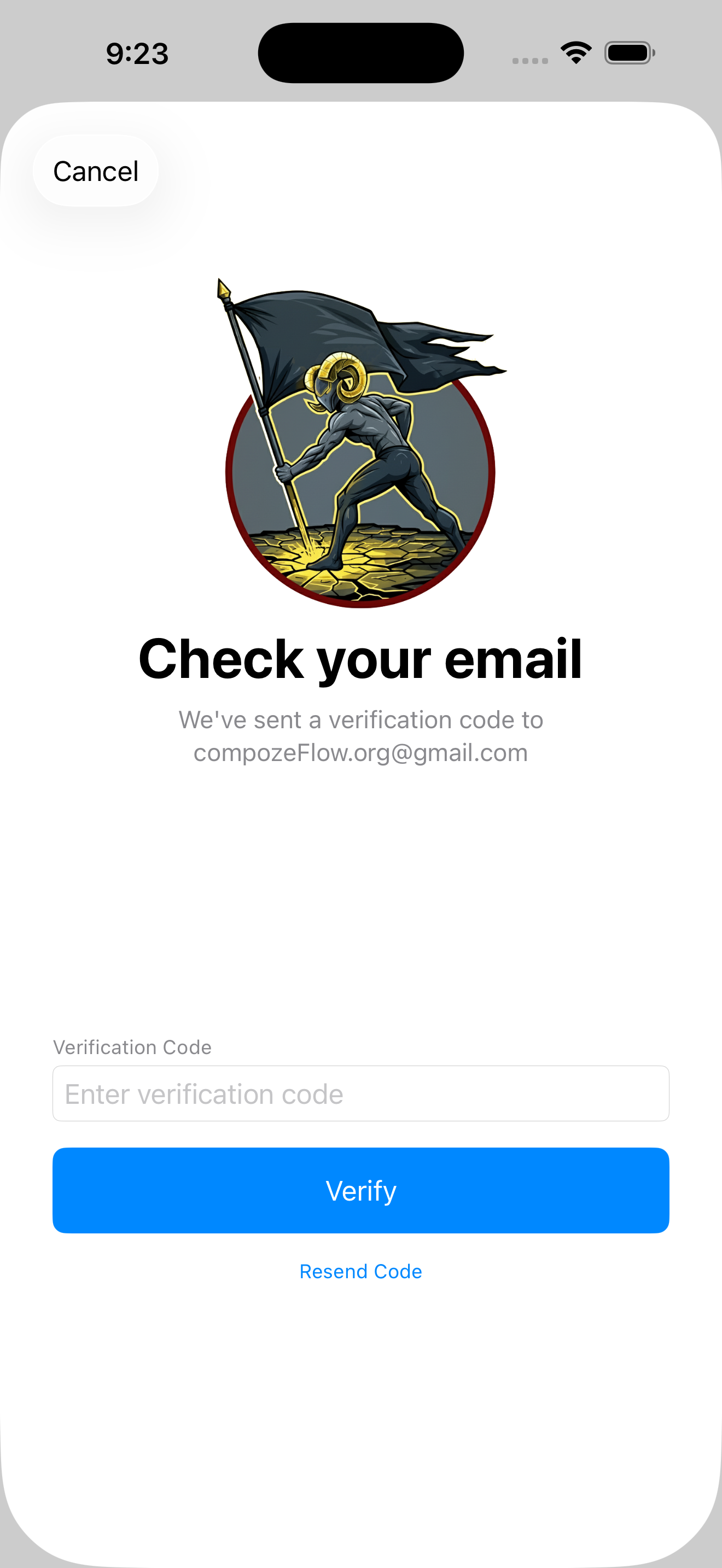 Account verification screen in iOS light mode