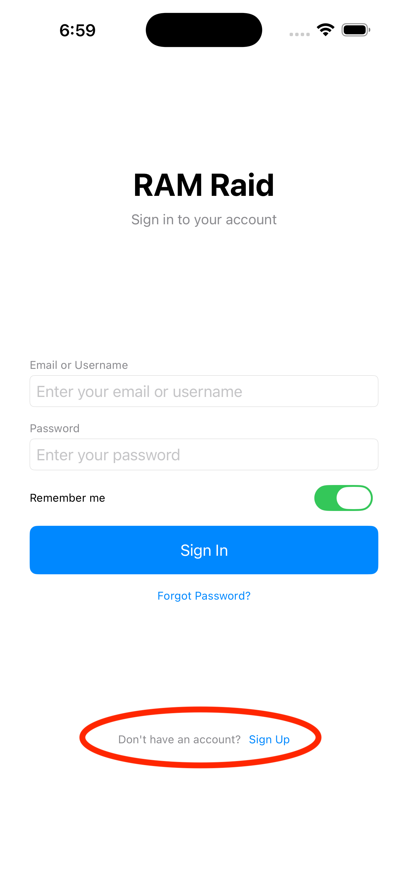 Screenshot of RAM Raid login screen showing email, password fields, and sign in button